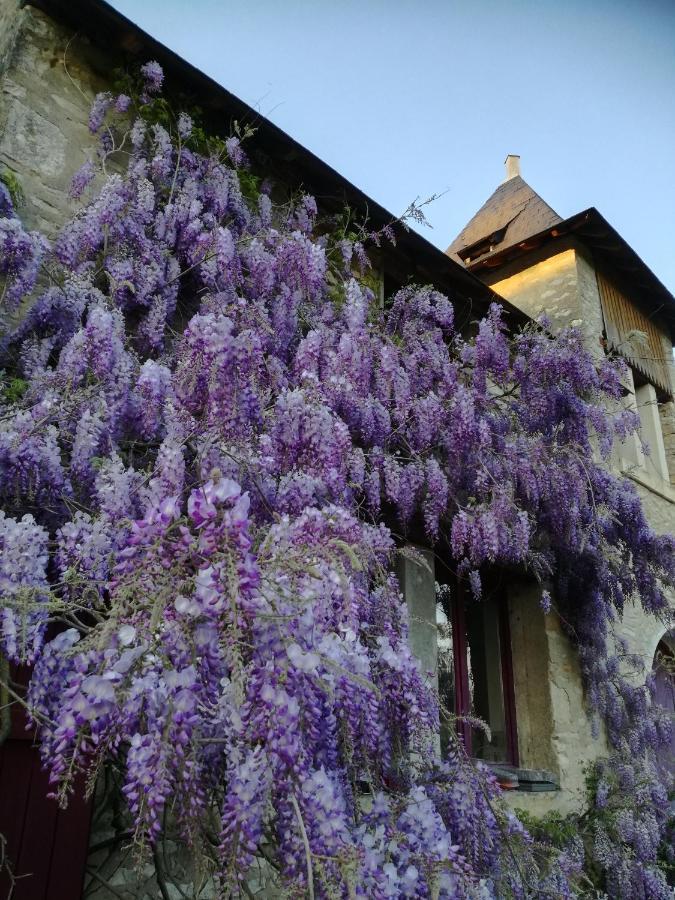 Chateau St.Gaultier Saint-Gaultier Esterno foto