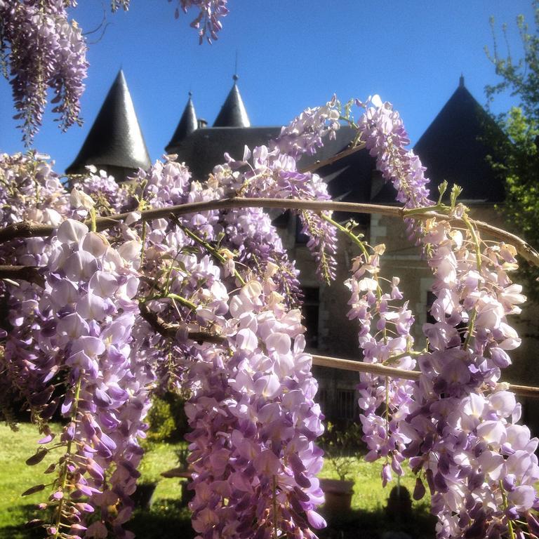 Chateau St.Gaultier Saint-Gaultier Esterno foto